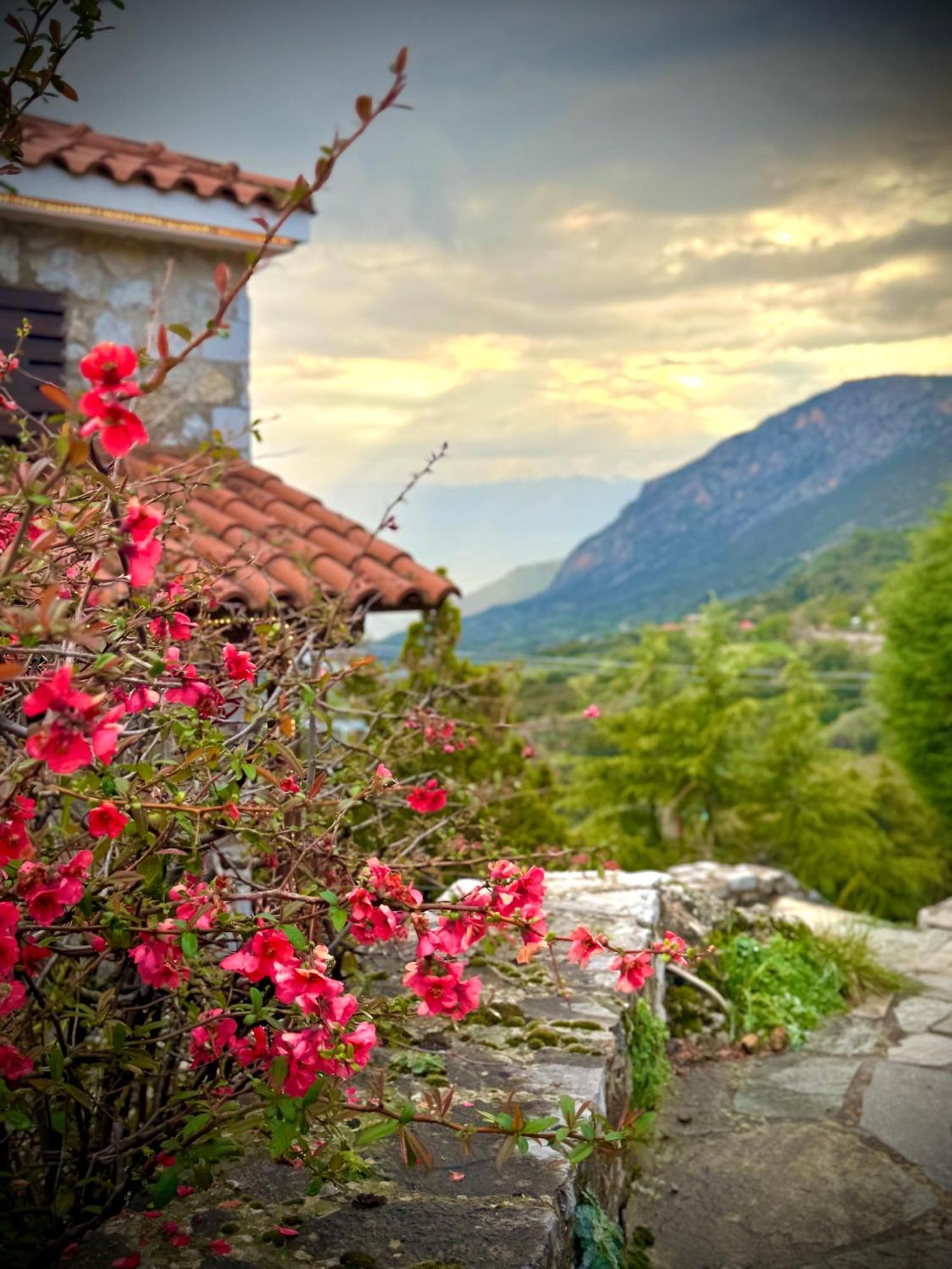 Rock Dandy Deluxe Chalet In Arachova - Delphi, Sauna, Prv Parking, Amazing View ภายนอก รูปภาพ